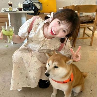 青龙复仇
